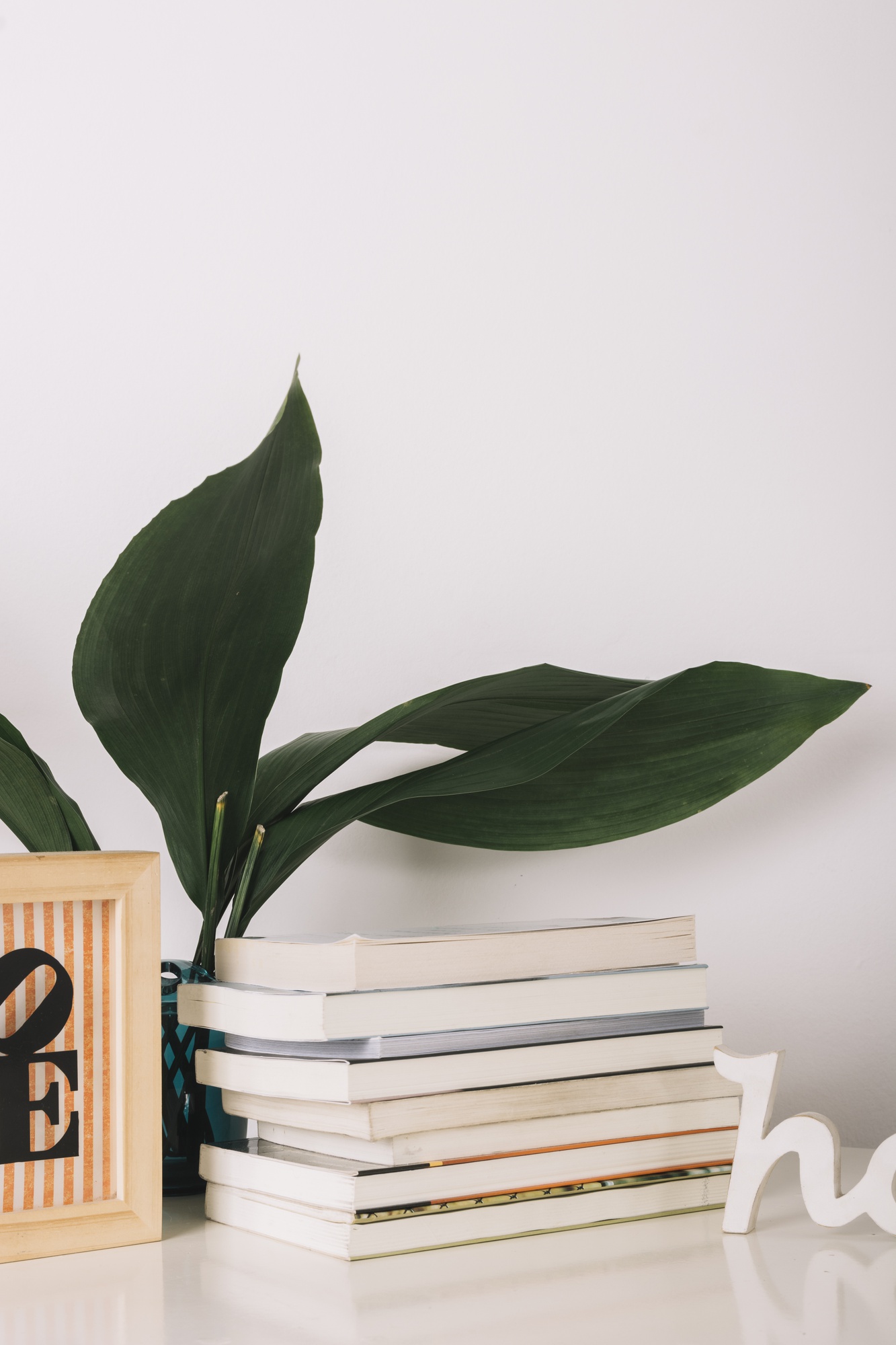Leitor concentrado em um livro, cercado de plantas e estantes repletas de livros.